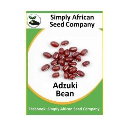Red Adzuki Bean