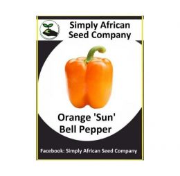 Orange ‘Sun’ Bell Pepper Seeds