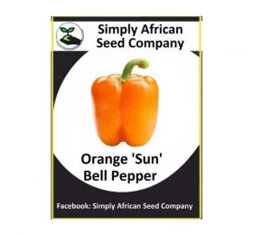 Orange ‘Sun’ Bell Pepper Seeds