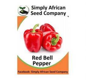 Red Bell Pepper Seeds