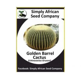 Golden Barrel Cactus