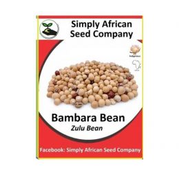 Bambara Bean Seeds