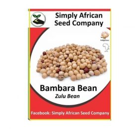 Bambara Bean Seeds