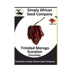 Carom (Ajmo) Seeds - Simply African Seed Company