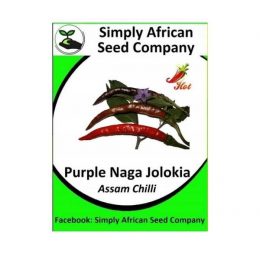 Purple Naga Jolokia Assam Chilli Seeds