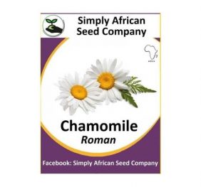 Roman Chamomile Seeds