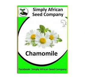 Chamomile Seeds