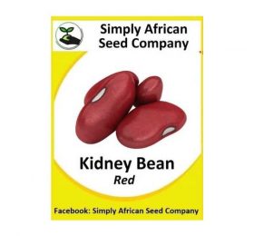 Beans Red Kidney Seeds 20’s