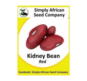 Beans Red Kidney Seeds 20’s