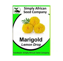 Lemon Drop Marigold Seeds