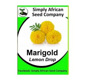 Lemon Drop Marigold Seeds