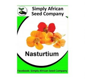 Nasturtium Seeds