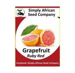 Ruby Red Grapefruit Seeds