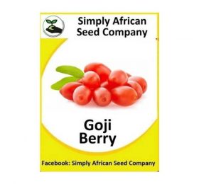 Goji Berry Seeds
