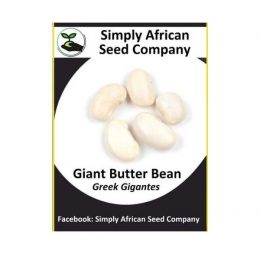 Giant Greek Butter Bean Seeds