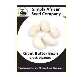 Giant Greek Butter Bean Seeds