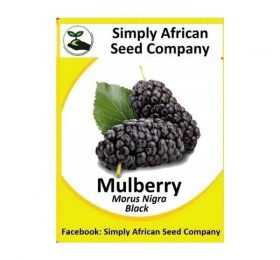 Black Mulberry Seeds