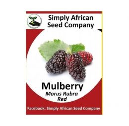Red Mulberry Seeds