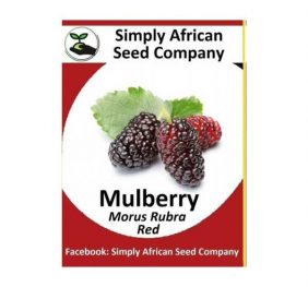Red Mulberry Seeds