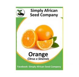 Orange Seeds