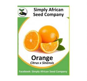 Orange Seeds