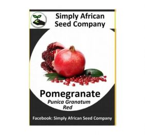 Pomegranate Red (Punica Granatum) 15’s