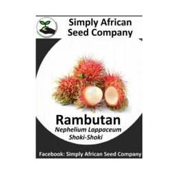 Rambutan Seeds