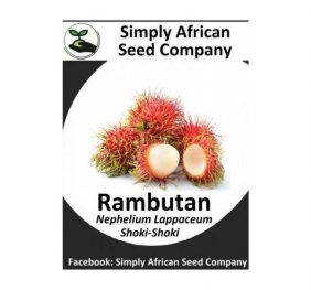 Rambutan Seeds