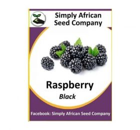 Black Raspberry Seeds