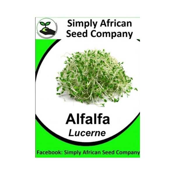 Vegetables Alfalfa Seeds for sale in Johannesburg (ID591458335)