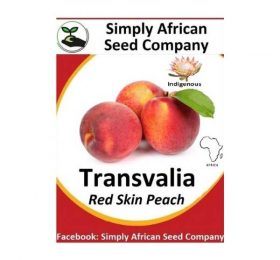 Transvalia Peach Seeds