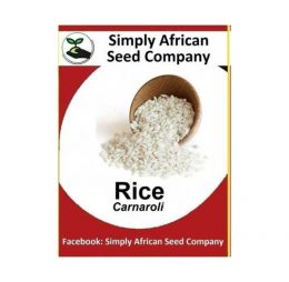 Carnaroli Rice Seeds