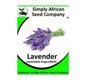 Lavender (Lavandula Angustifolia)100’s