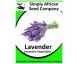 Lavender (Lavandula Angustifolia)100’s