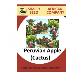 Peruvian Apple Seeds