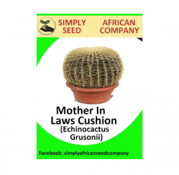 Mother in Laws Cushion Seeds