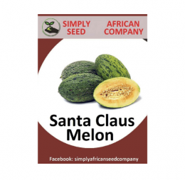 Santa Claus Melon Seeds