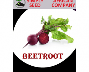 Beetroot Seeds