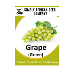 Green Grape Seeds