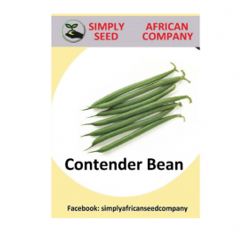 Contender Bean Seeds