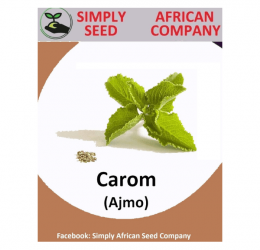 Carom (Ajmo) Seeds