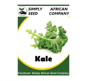 Kale Seeds (Chou Moellier)