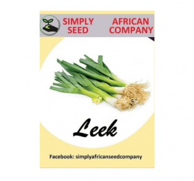 Leek Seeds