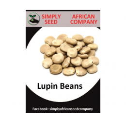 Lupin Bean Seeds