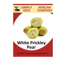 White Prickley Pear Seeds