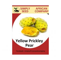 Yellow Prickley Pear Seeds