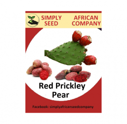 Red Prickley Pear Seeds
