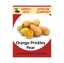 Orange Prickley Pear Seeds