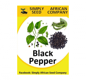 Black Pepper Seeds