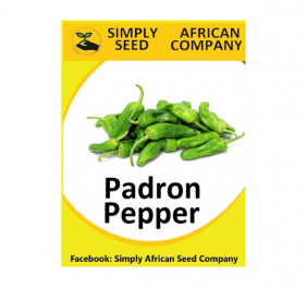 Padron Pepper Seeds
